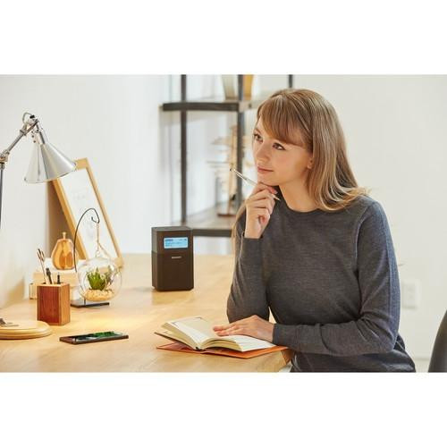 Sony SRF-V1BT Portable Clock Radio with Bluetooth Speaker