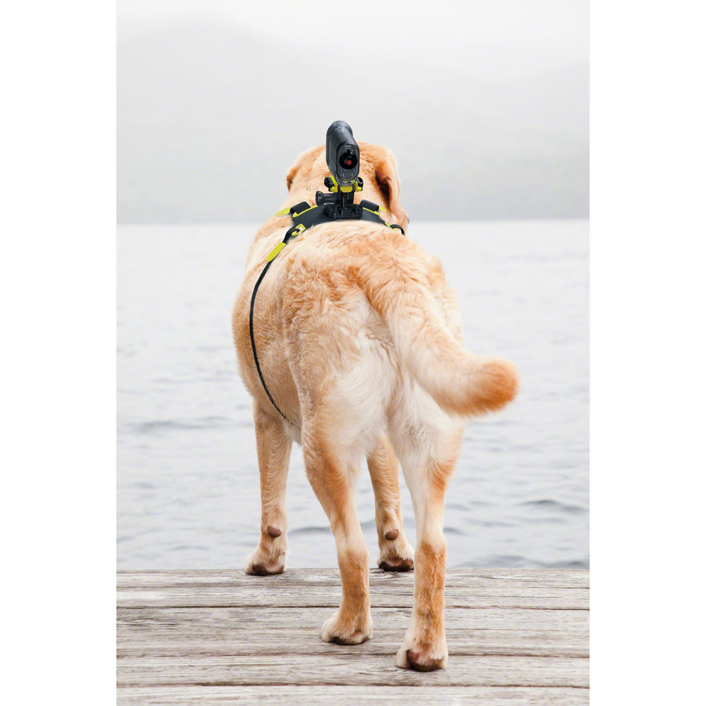Sony AKA-DM1 Dog Harness For Action Cam