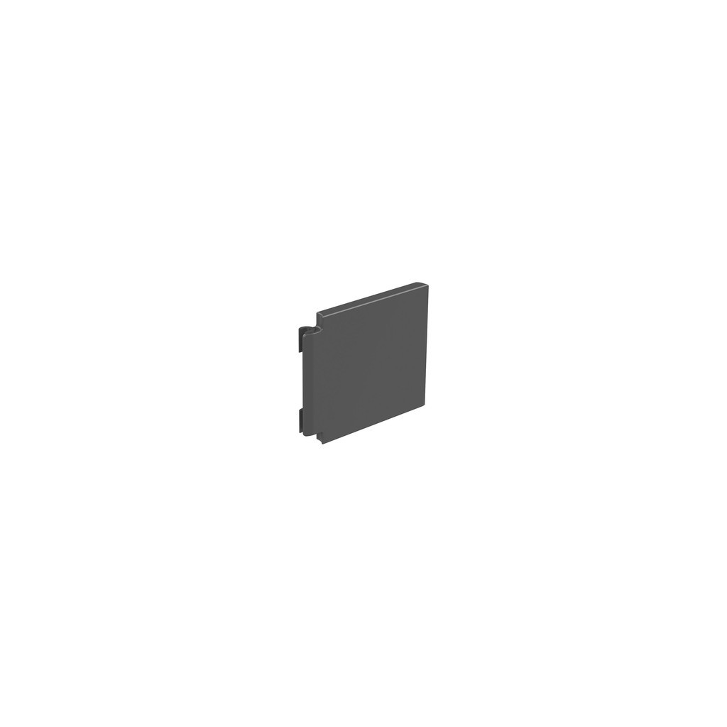 GoPro Replacement Door for HERO5 Session - AMIOD-001