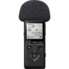[PRE-ORDER 30 Days] Sony PCM-A10 High Resolution Voice Recorder