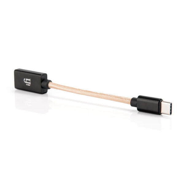 [PRE-ORDER 30 Days] iFi Audiophile OTG Cable Type-C | USB 3.0 Type-C to USB Type-A OTG Cable