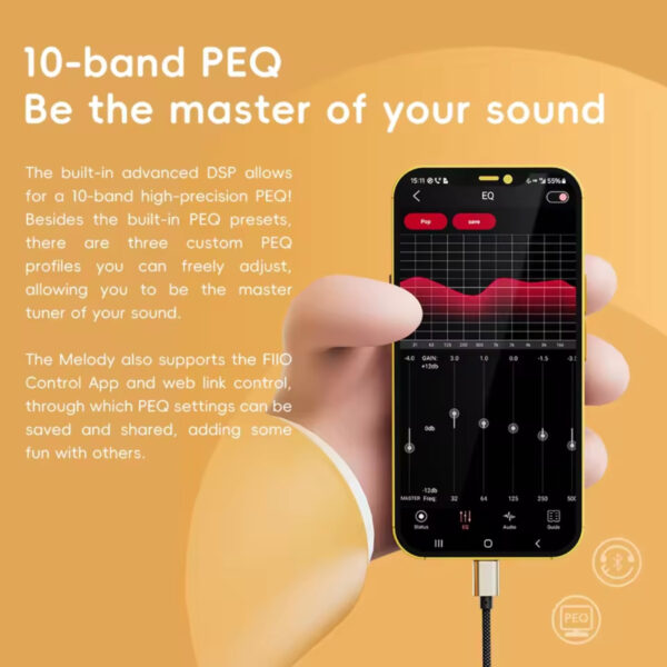 1e777110051caccd591d5dfead61bf14.jpeg FiiO SNOWSKY Melody Wooden Retro Portable DAC and Headphone Amplifier