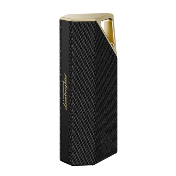 BUGANi Brief Portable Bluetooth Speaker 28W Peak Bluetooth 5.4 IPX7 (Black Gold)