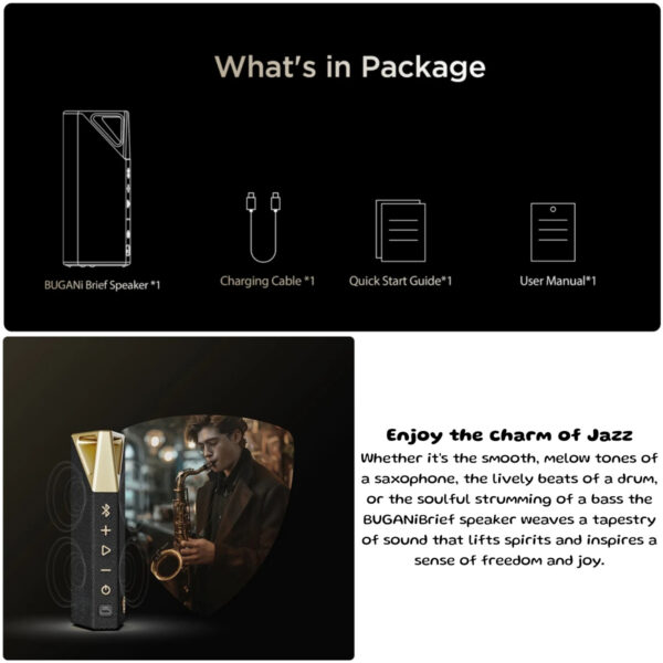 BUGANi Brief Portable Bluetooth Speaker 28W Peak Bluetooth 5.4 IPX7 (Black Gold)