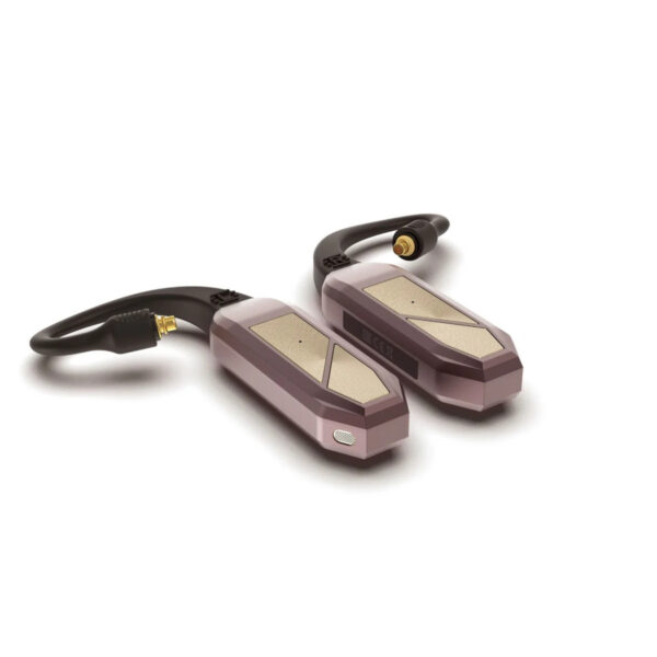 iFi GO pod Max True Wireless Hi-Res TWS Bluetooth DAC & Amp for IEMs (LDAC / aptX Adaptive)