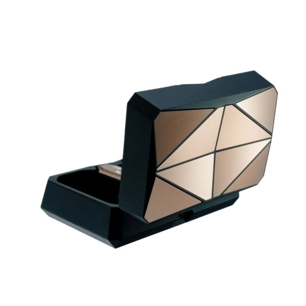 iFi GO pod Max True Wireless Hi-Res TWS Bluetooth DAC & Amp for IEMs (LDAC / aptX Adaptive)