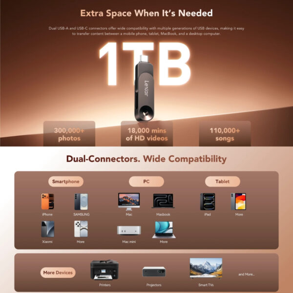 Lexar JumpDrive Solid State Dual Drive D500 USB 3.2 Gen 1 Type-C