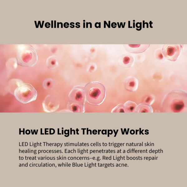 Nanoleaf 6-in-1 Light Therapy Wand | 6 Treatment Modes | Portable & Rechargeable