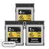 [PRE-ORDER 30 Days] Lexar Professional GOLD CFexpress 4.0 Type B Card | 1TB/2TB/4TB