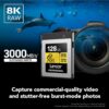2cf4982eec082f5a6bc25716fecf31c5.jpeg Lexar Professional GOLD CFexpress 4.0 Type B Card | 128GB/256GB/512GB